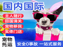 阿坝红原航空物流国际宠物托运 【国